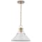 Nuvo Outpost 1-Light Medium Pendant - Matte White with Burnished Brass 60/7524 - alternate 1